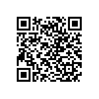 皖南高压电机-YR系列