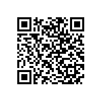 宣城市委书记李中来皖南电机调研