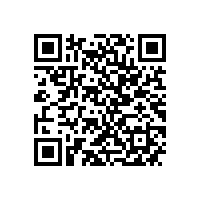 优化管理效能 筑牢新质生产力根基