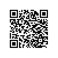CEO办公经典案例