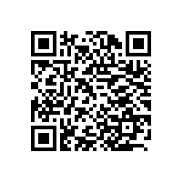 上海办公家具：从上海迪士尼想到的