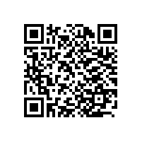 上海百胜软件股份有限公司