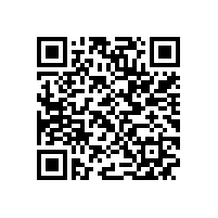 安徽皖南电机股份有限公司九届二次股东大会召开