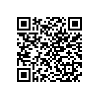 NS系列超高效不锈钢电机