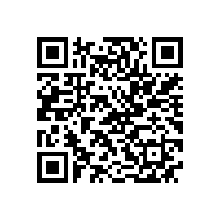 水环式真空泵低压交流电动机烧毁的原因分析及处理