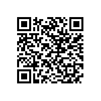 皖南电机召开基干民兵点验大会