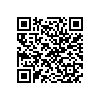 浙江客人来皖南电机参观