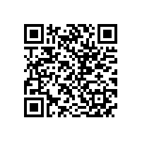 皖南电机召开驻外销售经理迎春座谈会