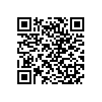 皖南高压电机-YL系列