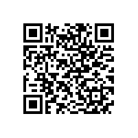 宣城市委书记李中来皖南电机调研