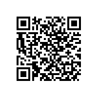 中国质量协会聂宗凤诊断师为皖南电机 QC 骨干培训赋能