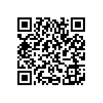 安标国家中心专家组来皖南电机进行监督评审