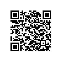 公司开展职能部门管理体系审核
