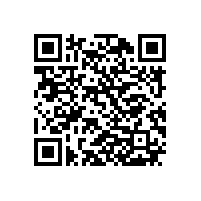 公司召开信息化工作交流会