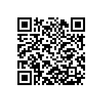 JBT 13299-2017 YE4系列（IP55）三相异步电动机技术条件（机座号80～450）