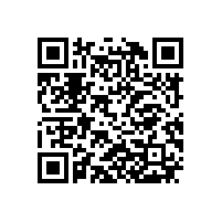 JBT 7594-2018 YR系列高压绕线转子三相异步电动机技术条件（机座号355～630）