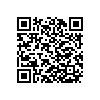 QWN.291-2021 YE4系列(IP55)三相异步电动机技术条件（机座号63～355）2