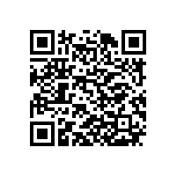 QWN.615.1-2021 TYCP系列三相变频驱动永磁同步电动机技术条件（机座号80-355）
