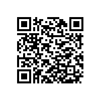 皖南电机导入ISO/TS16949质量体系认证