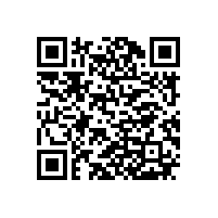 皖南电机市场部召开驻外销售经理新春座谈会