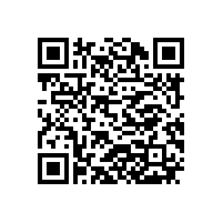 香港李宝成博士来公司开展精益生产培训