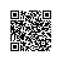 合工大智能院专家来访