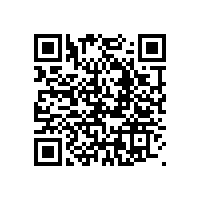 办公家具个性“山寨”办公家具毒瘤