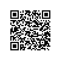 上海百胜软件股份有限公司