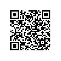 公司团委开展青年联谊交友活动