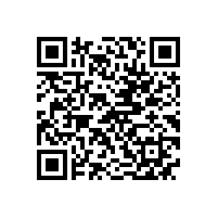 高压电机与低压电机相比有哪些优缺点