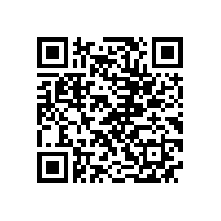 武钢公司来皖南电机进行二方审核