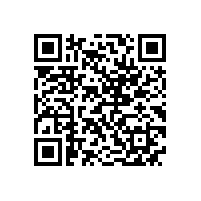 皖南电机党委召开民主生活会