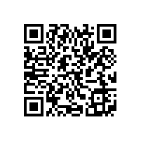 皖南电机信息化升级项目蓝图汇报会