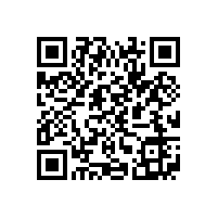 皖南电机应邀参加中国港口协会筒仓与散粮运输分会年度工作会