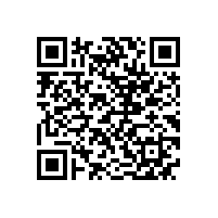 皖南电机召开基干民兵点验大会