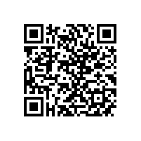 皖南电机组织召开铸件质量提升会