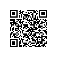 浙江客人来皖南电机参观