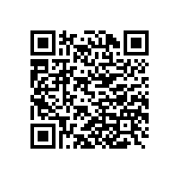 皖南高压电机-YL系列