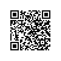 NE系列高效高转矩电机