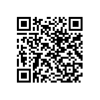 QWN.211-2021 YJZ2系列机床专用三相异步电动机技术条件（机座号80～355）