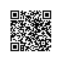 QWN.621-2022 YFBBP 系列粉尘防爆型变频调速三相异步电动机技术条件(机座号80～355)