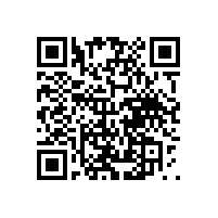 皖南电机举办庆祝建党95周年表彰大会