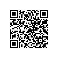 皖南电机信息化升级项目蓝图汇报会