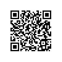 皖南电机样本-ZH4直流系列