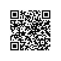 皖南电机一批先进集体和个人受上级团组织表彰