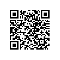 皖南高压电机-YL系列