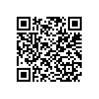 500万KW大功率高效电机项目开工建设