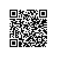 副省长张红文调研皖南电机