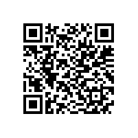 GBT 22719.1-2008 交流低压电机散嵌绕组匝间绝缘 第1部分：试验方法