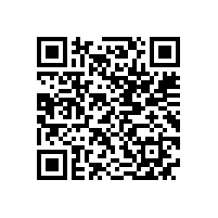 公司表彰劳动竞赛优胜员工